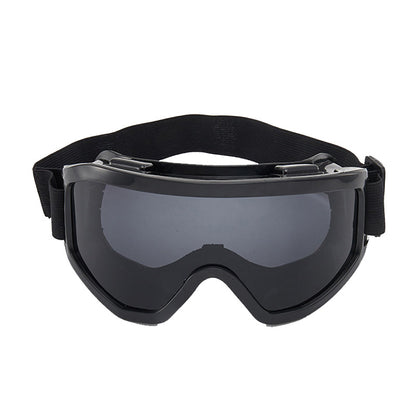 Ski Snowboard Goggles Mountain Skiing Eyewear