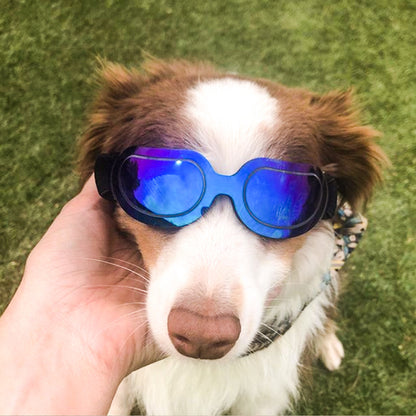 Pet supplies colorful dog glasses sunglasses Amazon cat sunglasses