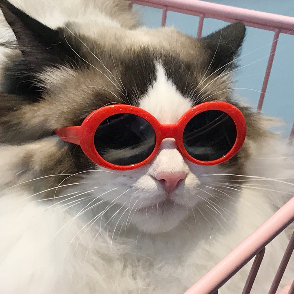 Red Pet Sunglasses Cat Model Fashion Love Eyeglass Frames